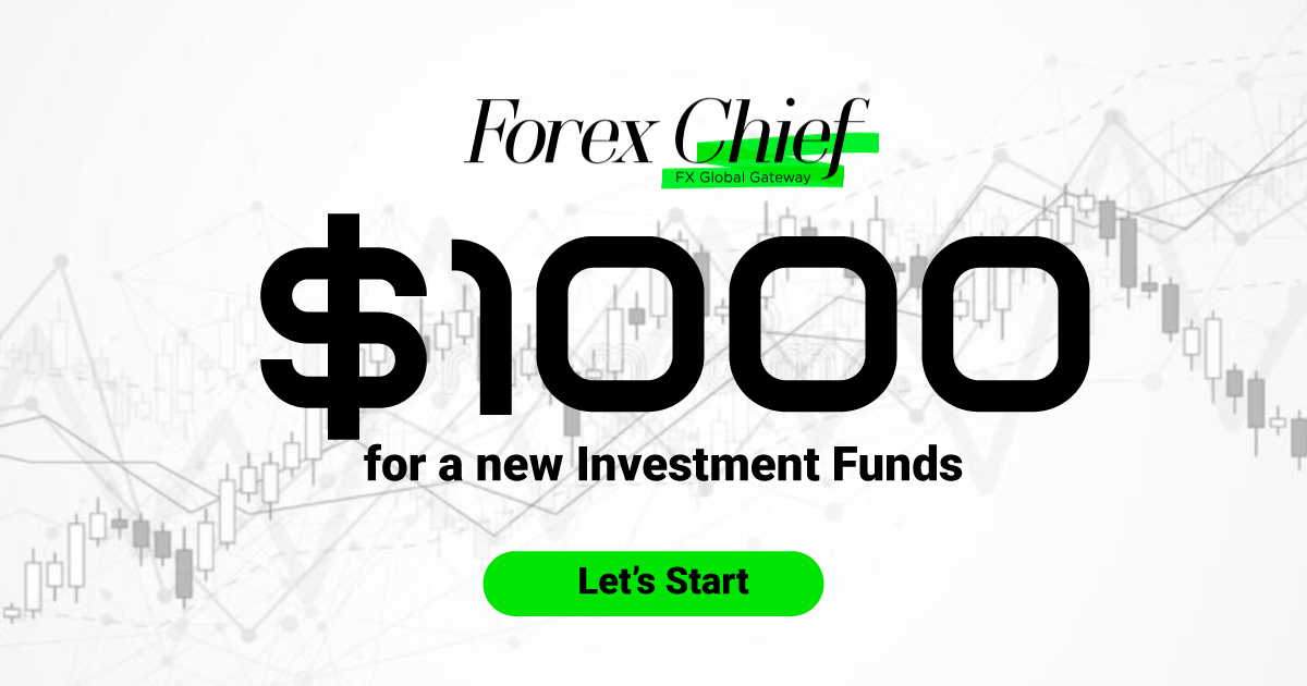 ForexChief Investing $1000 in a Free Fresh Funds